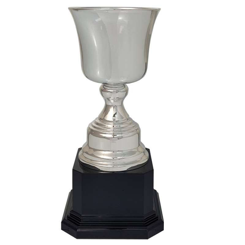 AUGUSTA CUP - - Silver