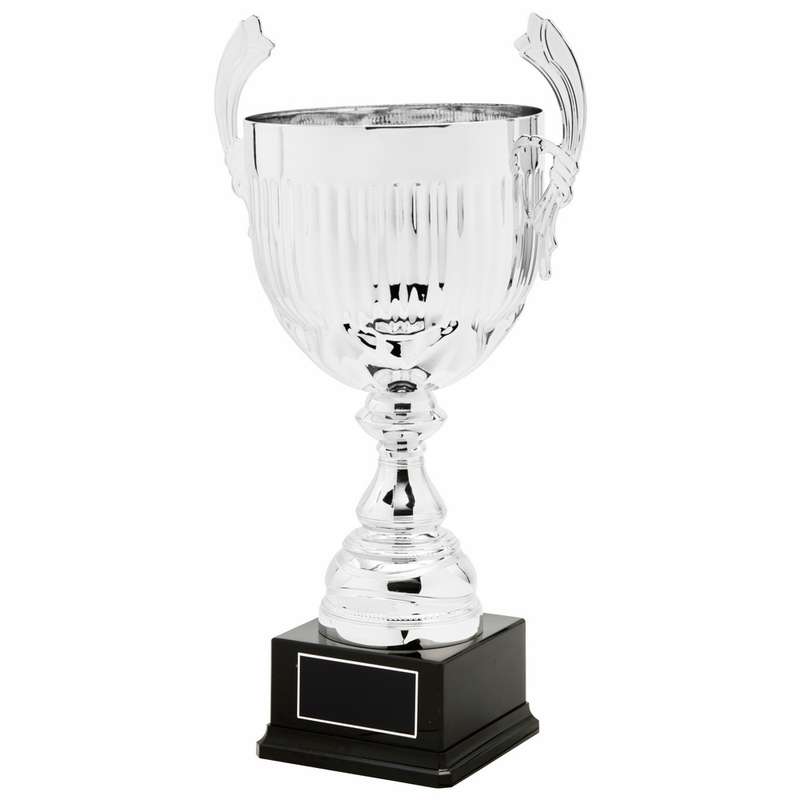 Silver Presentation Cup With Handles – Silver